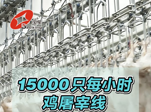 全自动家禽屠宰线，时宰 15000 羽，尺度化流程、高效干净、安全可控，一站式解决规；涝仔枰。
